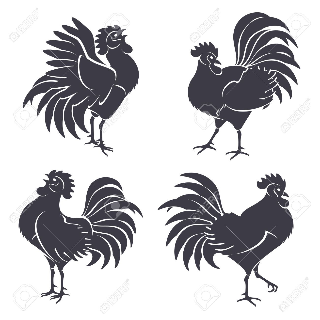 黒鶏のシルエットが白で隔離 ベクトルの図 17 中国の旧正月のシンボル 鳴き声のコック のイラスト素材 ベクタ Image