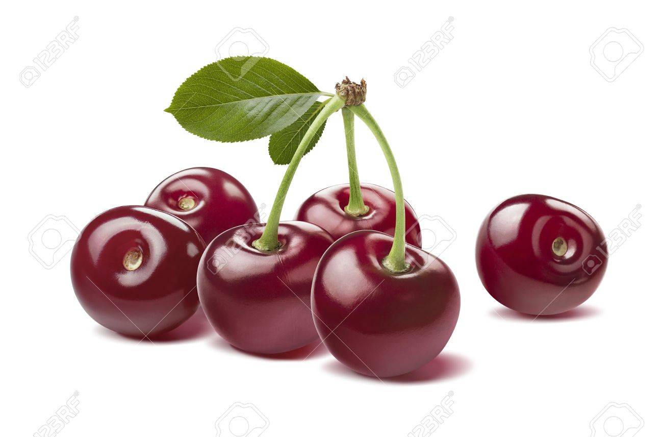 Many glossy wild cherries raw isolated on white background as package design element - 42564678 Many glossy wild cherries raw isolated on white background as package design element - 42564678