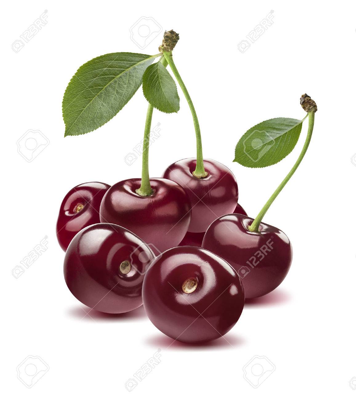 Wild cherry group round isolated on white background as package design element - 43230177 Wild cherry group round isolated on white background as package design element - 43230177