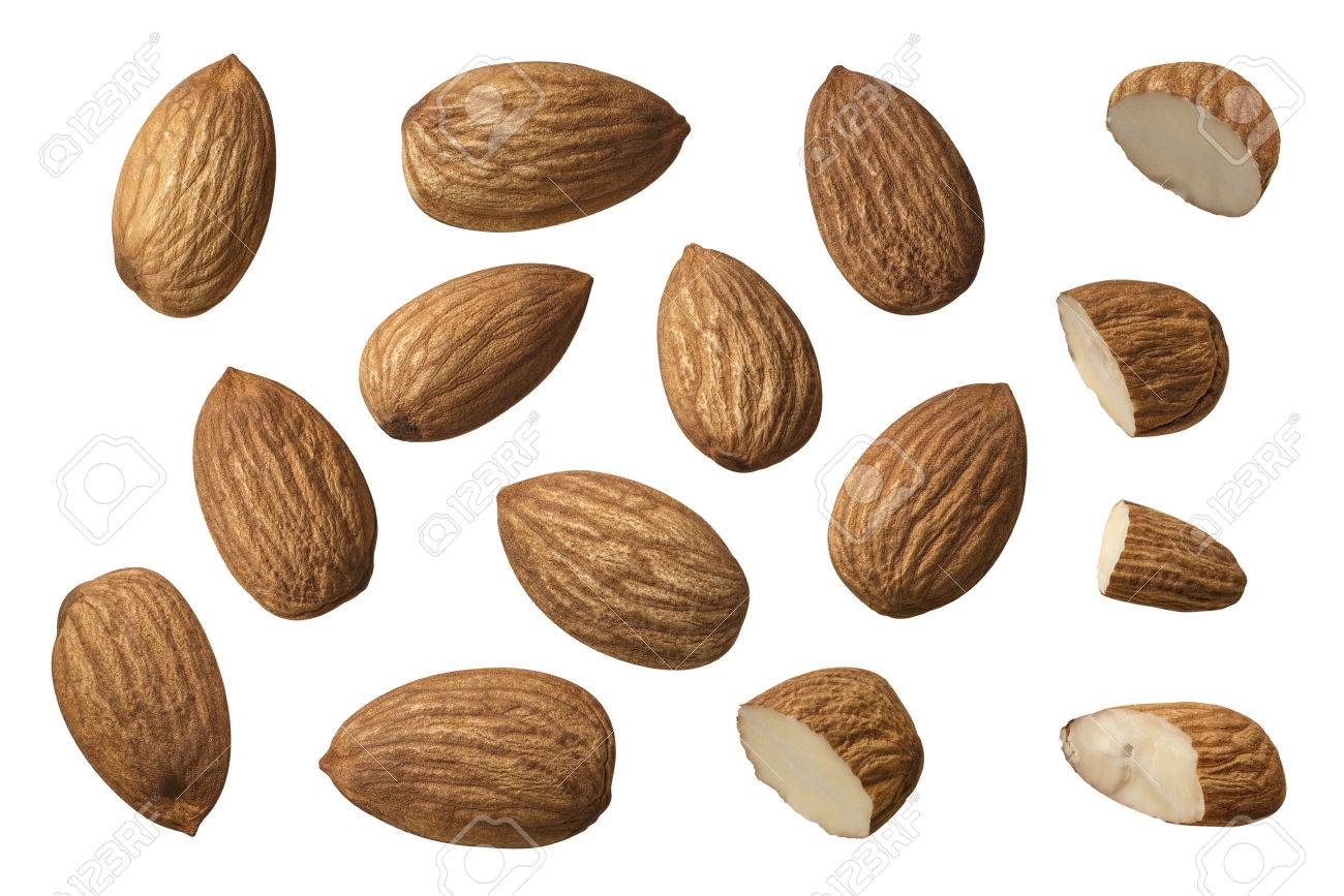 Almond nut set selection isolated on white background as package design element - 55014782 Almond nut set selection isolated on white background as package design element - 55014782