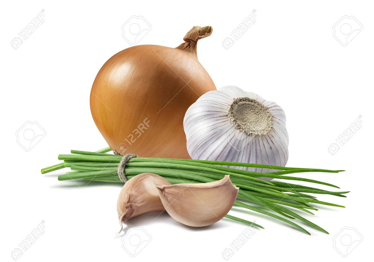 Yellow onion green scallion garlic isolated as package design element - 56801401 Yellow onion green scallion garlic isolated as package design element - 56801401