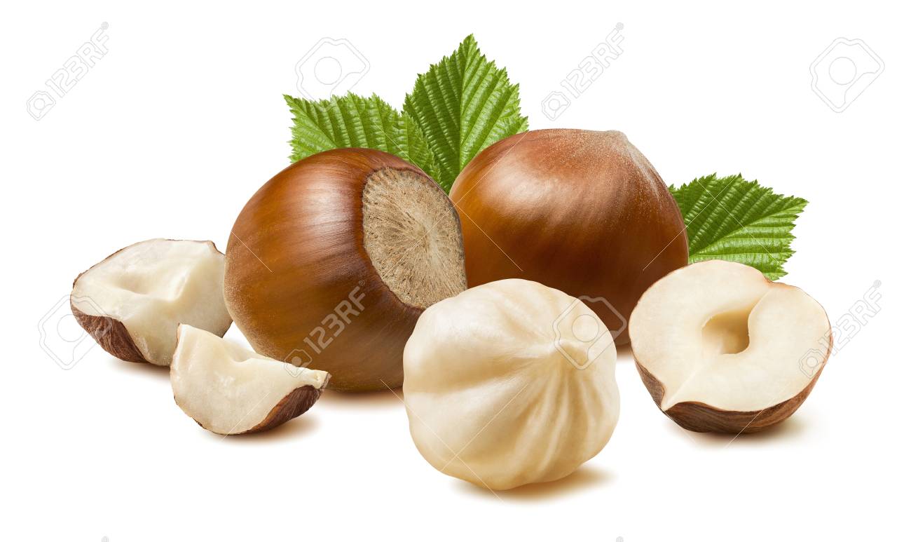 Hazelnut nut many leaves isolated on white background as package design element - 57008363 Hazelnut nut many leaves isolated on white background as package design element - 57008363
