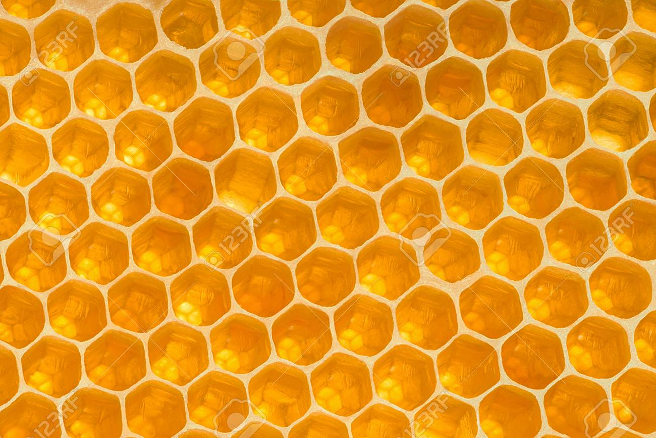 Honeycomb Stock Photos and Images - 123RF