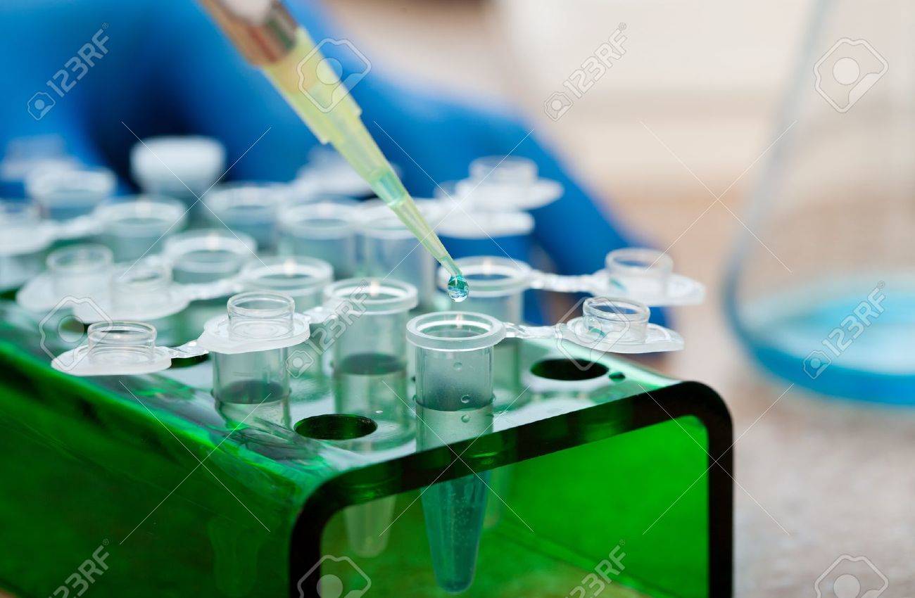 workplace modern laboratory for molecular biology test - 10995389 workplace modern laboratory for molecular biology test - 10995389