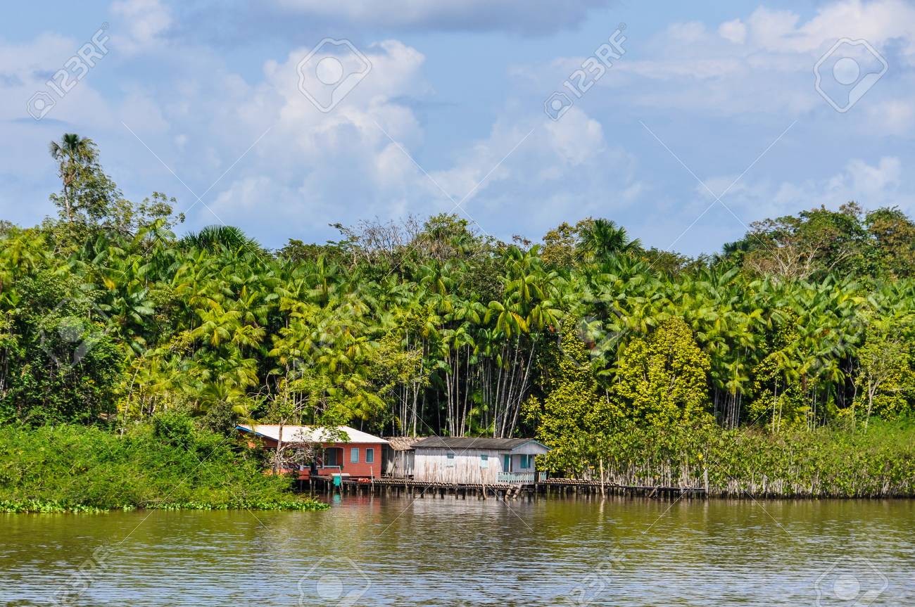 ブラジルのアマゾン川を船から見られるローカル小屋 の写真素材 画像素材 Image