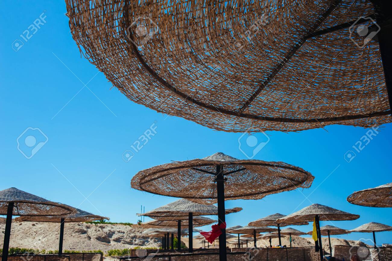 Empty beautiful clean beach with sunbeds and umbrellas, Egypt. Vacation concept. View of the beach with umbrellas and palm trees. - 150544349 Empty beautiful clean beach with sunbeds and umbrellas, Egypt. Vacation concept. View of the beach with umbrellas and palm trees. - 150544349