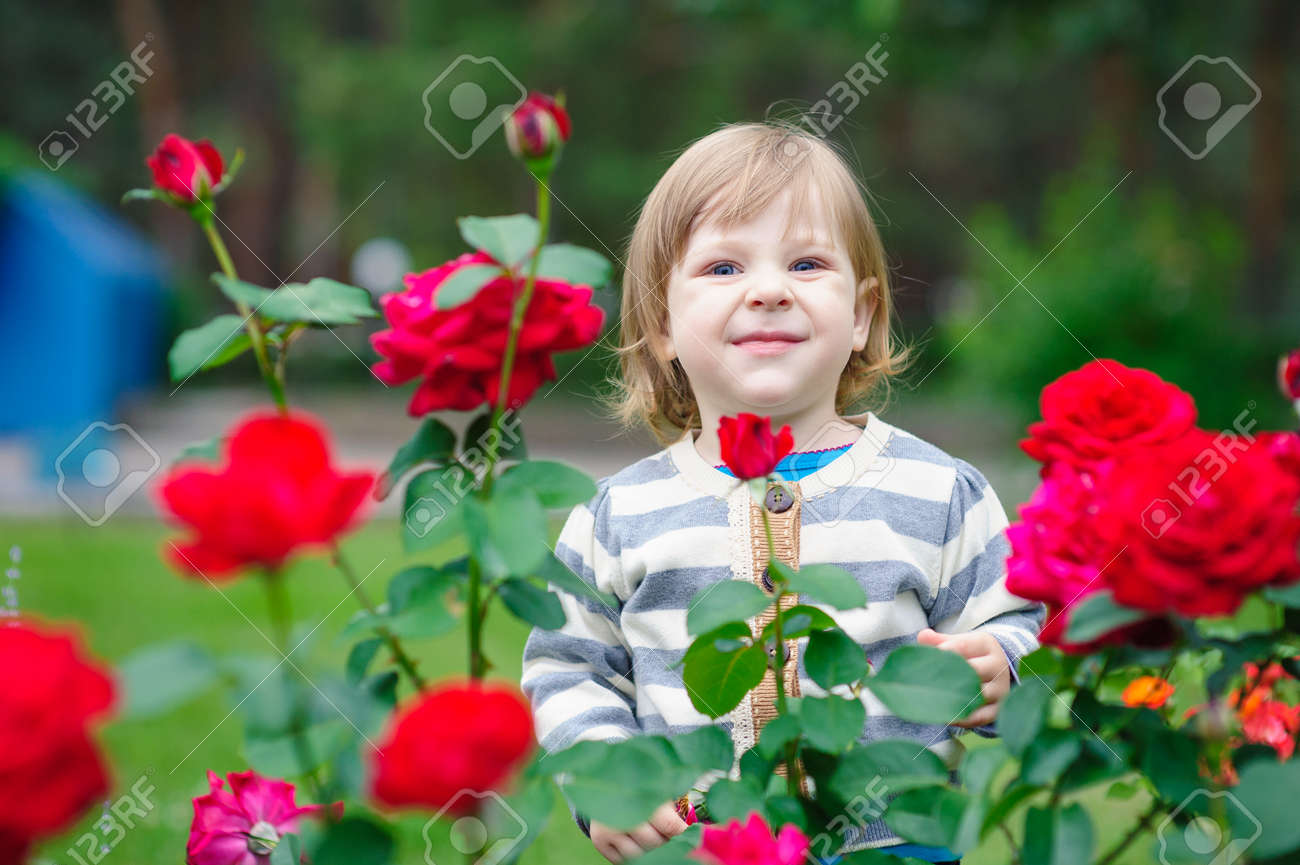 Cute little girl playing in sunny summer park. Toddler kid playing with a flowers. Kids play outdoors. Preschooler in school yard on warm day. - 168823495 Cute little girl playing in sunny summer park. Toddler kid playing with a flowers. Kids play outdoors. Preschooler in school yard on warm day. - 168823495