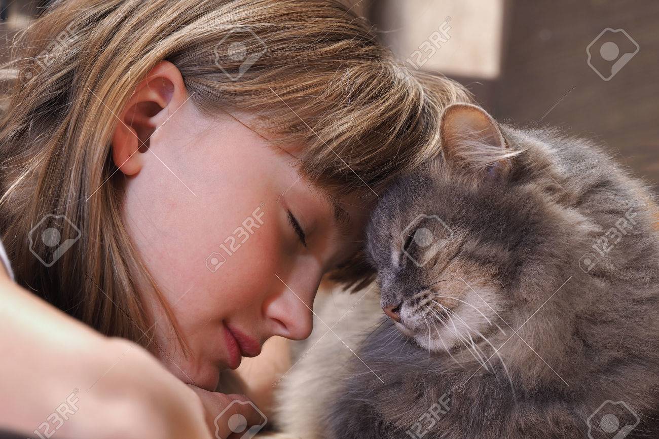 Chat Et Fille Nez A Nez Tendresse Amour Amitie Image Douce Et Aimante De L Amitie Et De L Enfant Chat Banque D Images Et Photos Libres De Droits Image Chat Et Fille Nez A Nez Tendresse Amour Amitie Image Douce Et Aimante De L Amitie Et De L Enfant Chat Banque D Images Et Photos Libres De Droits Image
