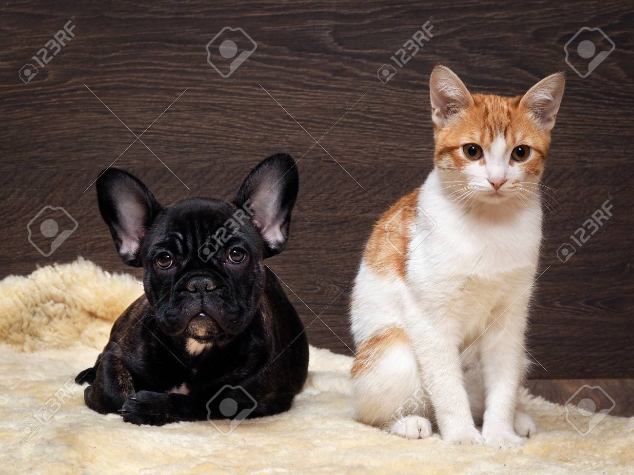Stock Photo