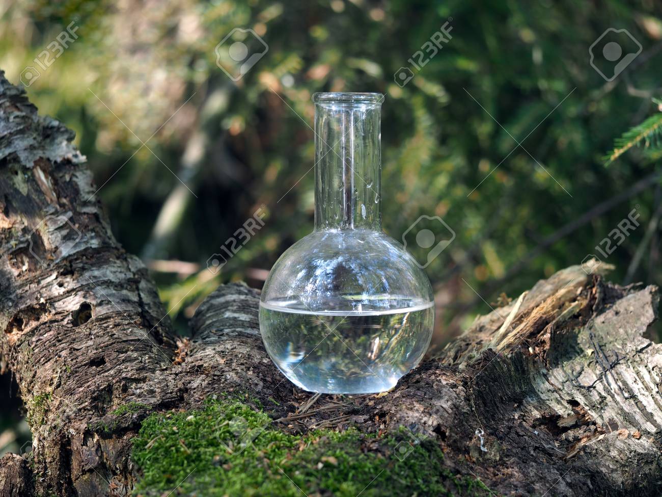 Clear water in the retort. Forest moss. Reflection - 61252833 Clear water in the retort. Forest moss. Reflection - 61252833