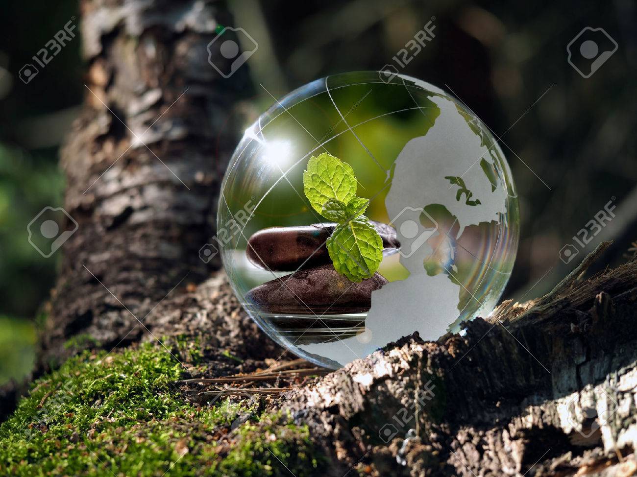 Transparent ball in the green forest. In the sphere reflected cairn, green mint leaves, water. Glass - a material, concepts and themes, zen, meditation, environment, ecology, peace, - 61252834 Transparent ball in the green forest. In the sphere reflected cairn, green mint leaves, water. Glass - a material, concepts and themes, zen, meditation, environment, ecology, peace, - 61252834