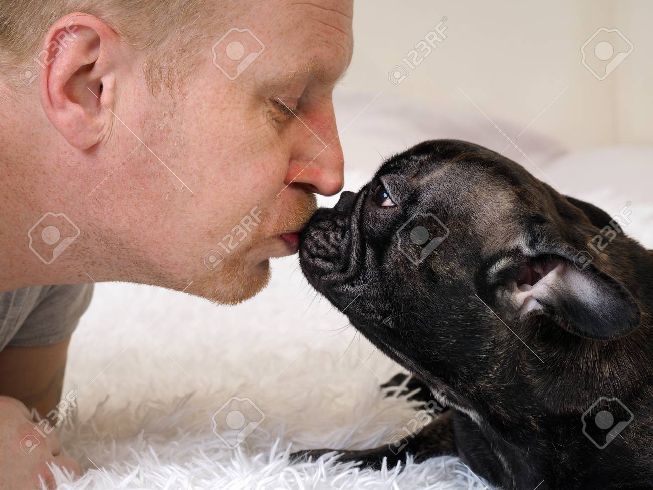 french kisses bulldogs