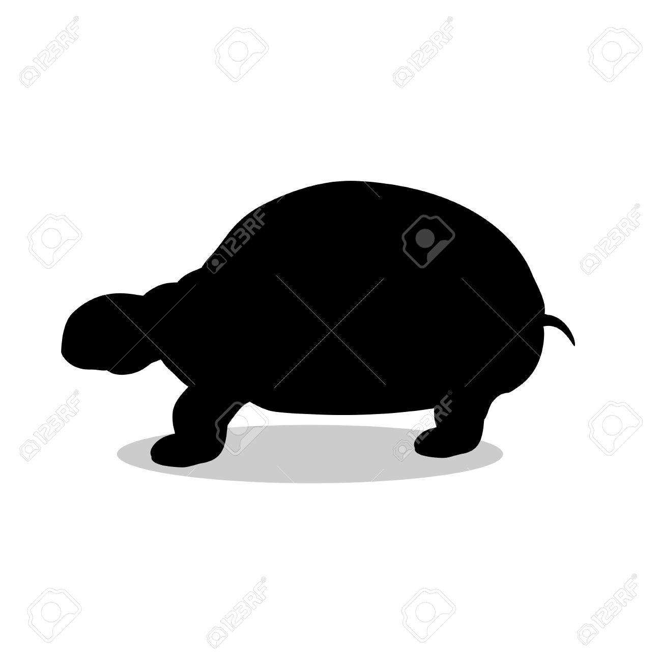 土地カメ爬虫類ブラック シルエット動物のイラスト素材 ベクタ Image