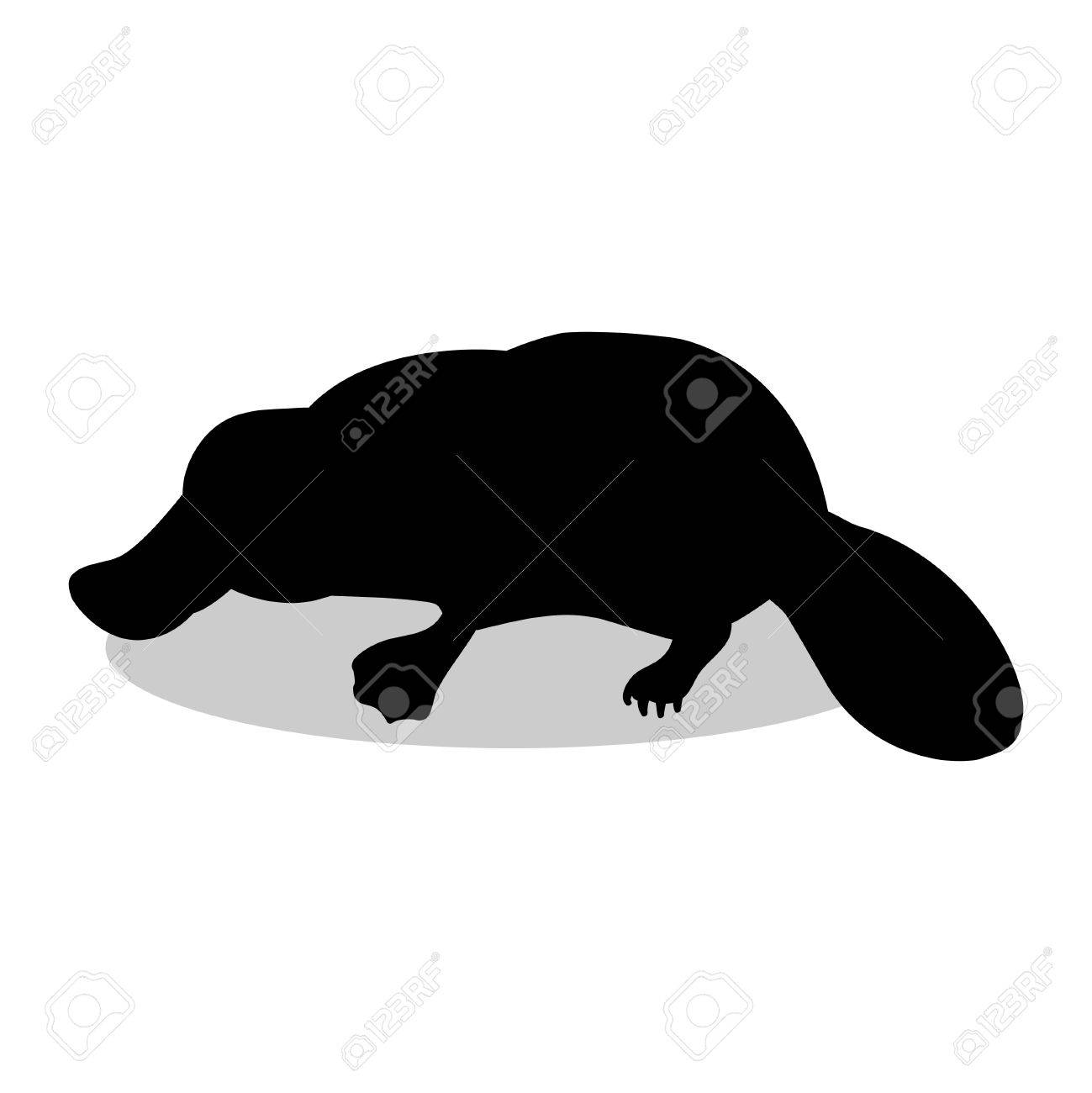 カモノハシ哺乳類黒シルエット動物 のイラスト素材 ベクタ Image カモノハシ哺乳類黒シルエット動物 のイラスト素材 ベクタ Image