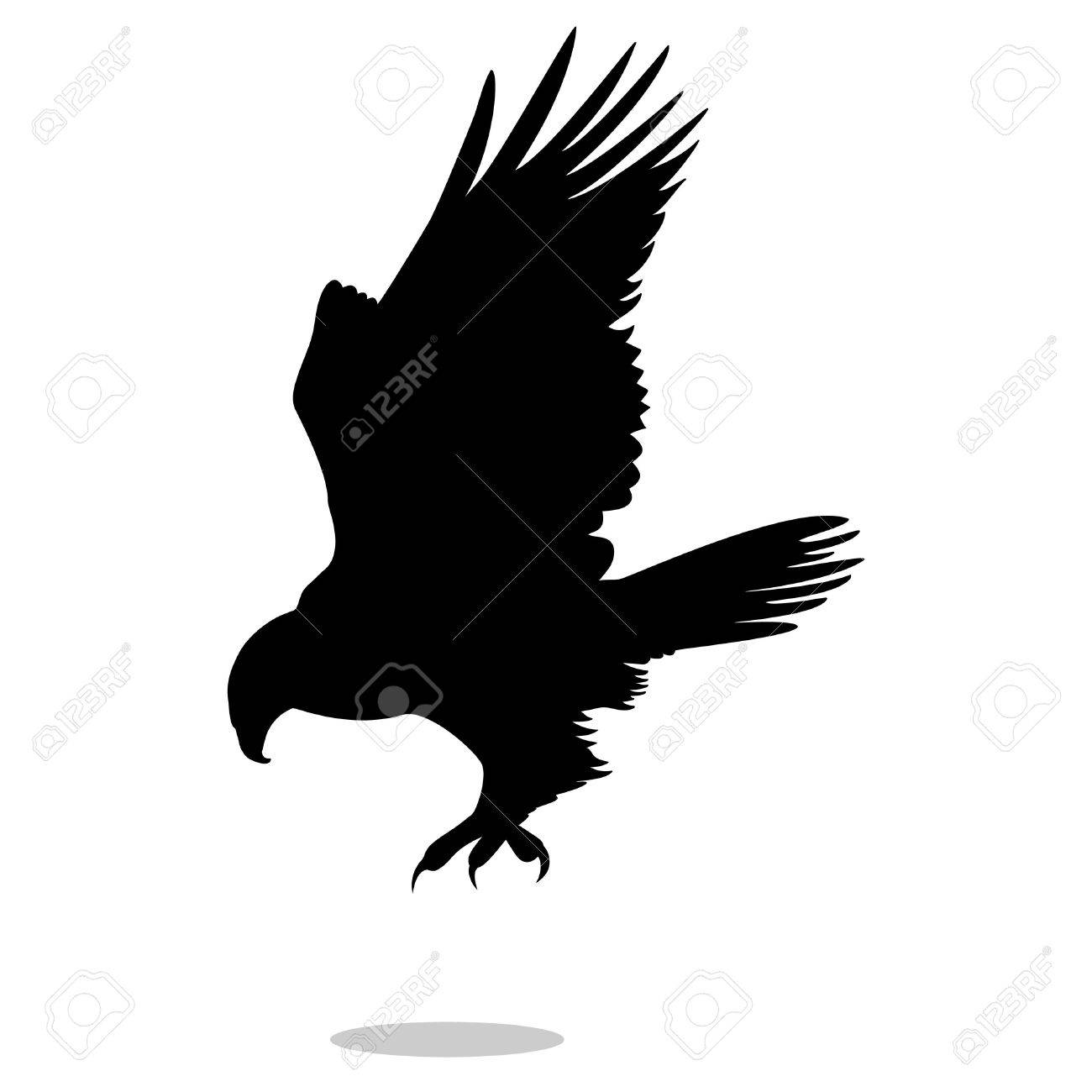 Hawk Eagle Falcon Bird Black Silhouette Animal Royalty Free Cliparts Vectors And Stock Illustration Image