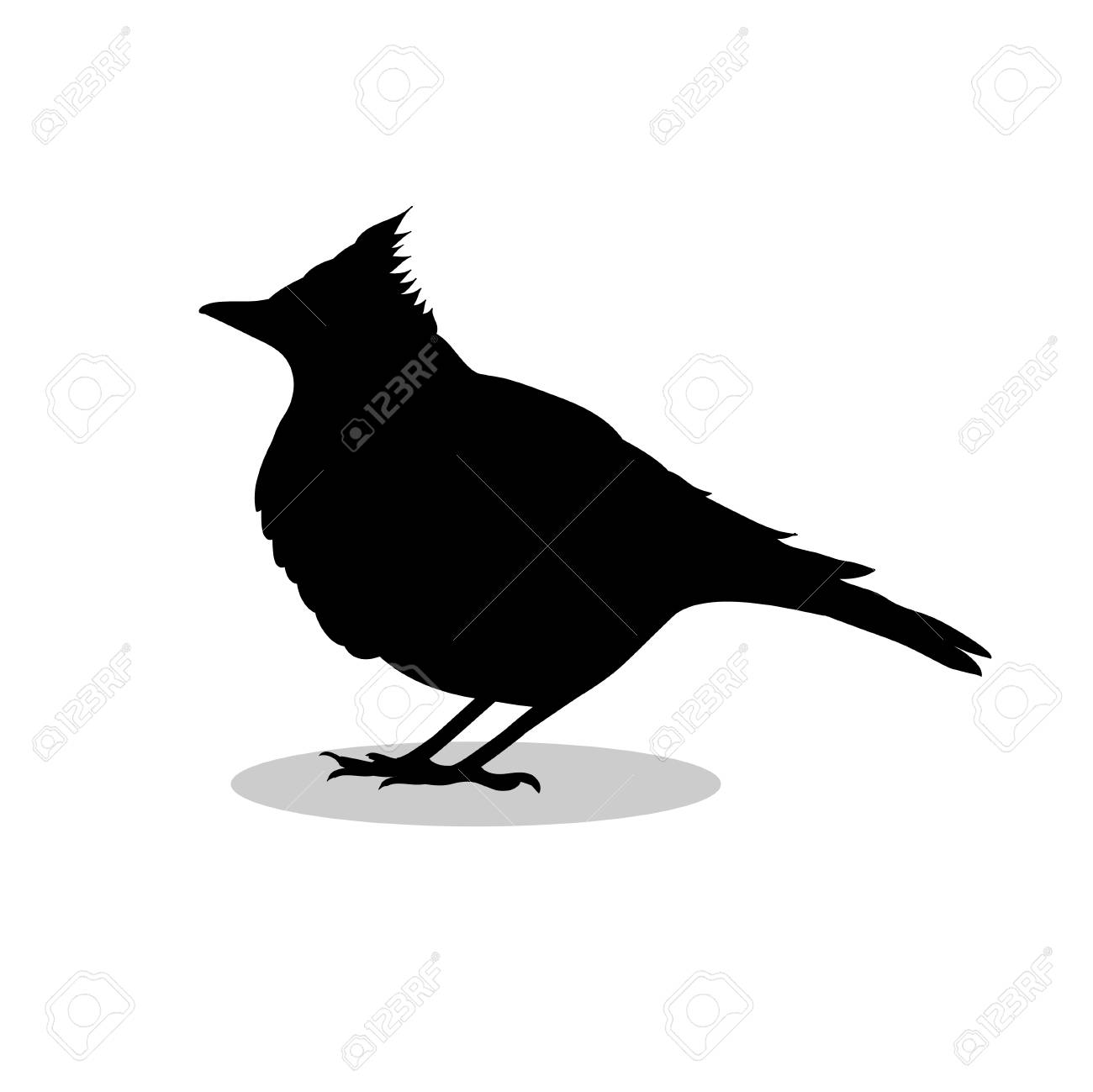 ひばりひばり鳥黒シルエット動物 の写真素材 画像素材 Image
