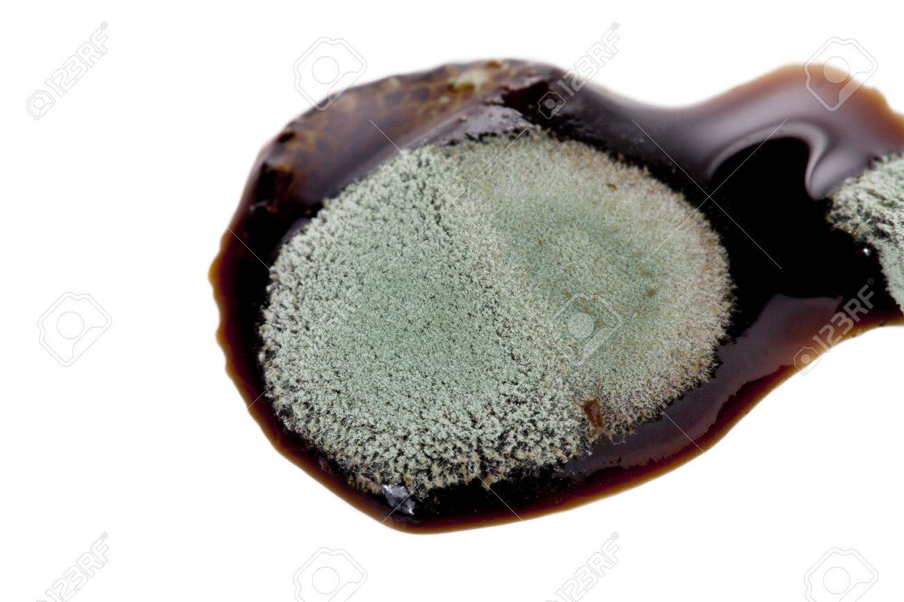 Can brown sugar mold