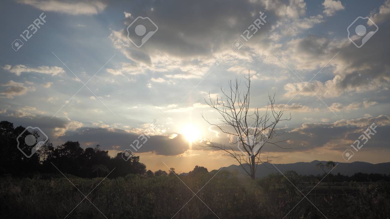 帰り道の夕日 の写真素材 画像素材 Image 帰り道の夕日 の写真素材 画像素材 Image