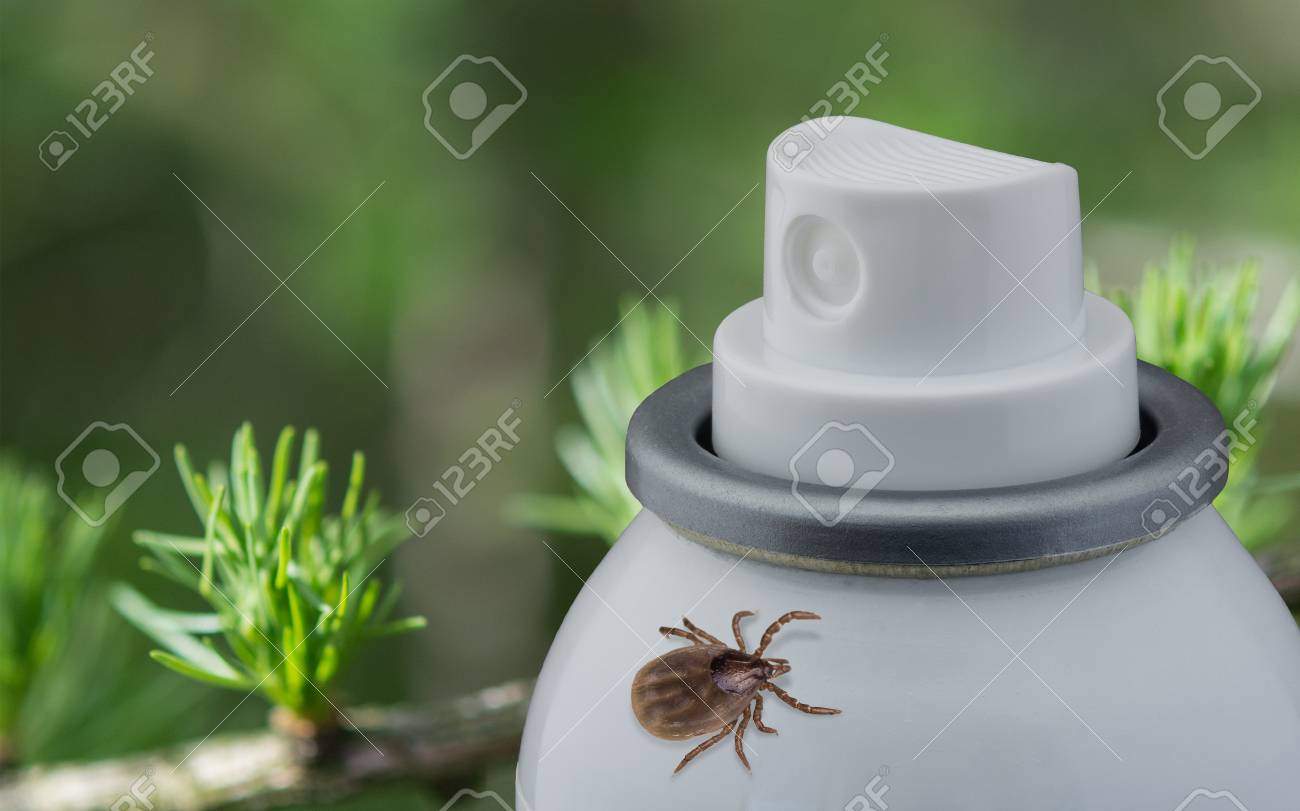 ダニと緑背景をぼかした写真のスプレー 危険な寄生虫のディテール 撥 消毒 治療のコンセプトです の写真素材 画像素材 Image