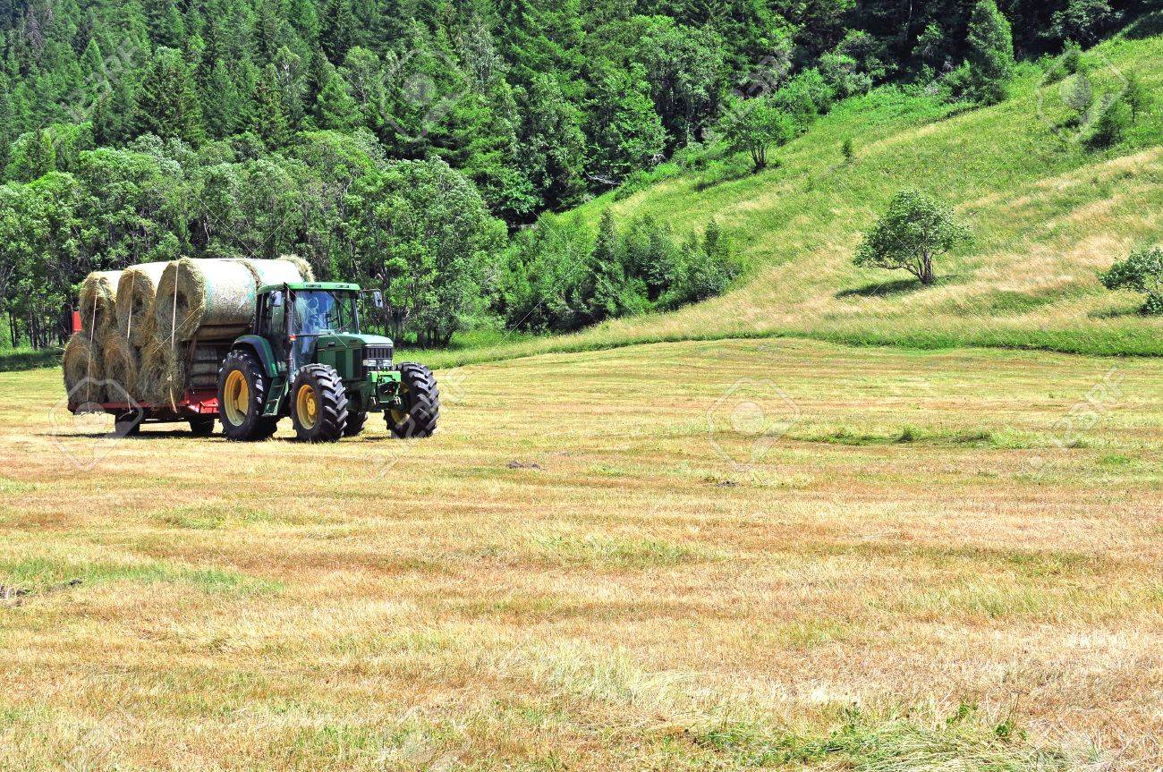 morgex italy july 11 tractor john deere works in the field american machinery works
