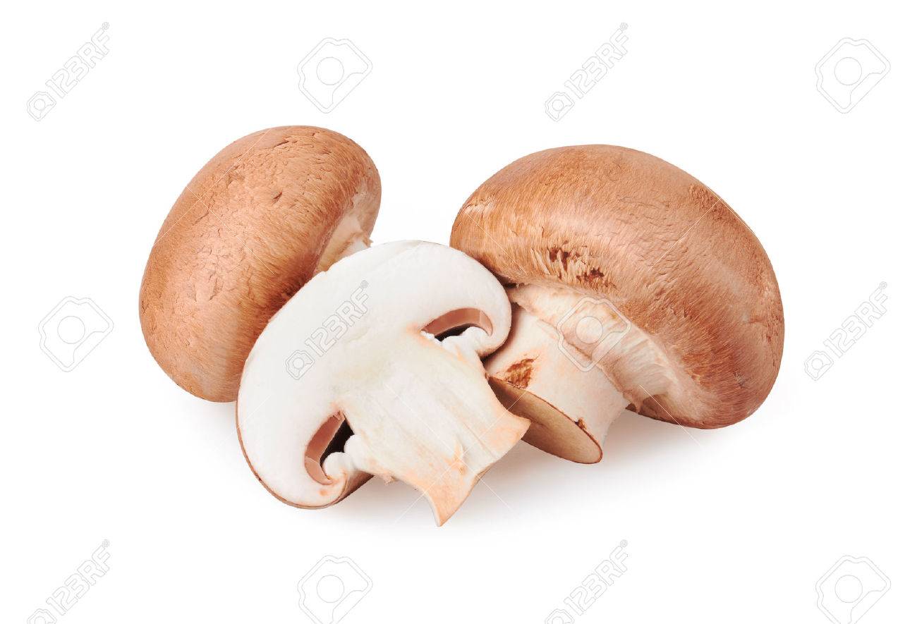 Champignon Mushroom isolated on white background - 43230698 Champignon Mushroom isolated on white background - 43230698