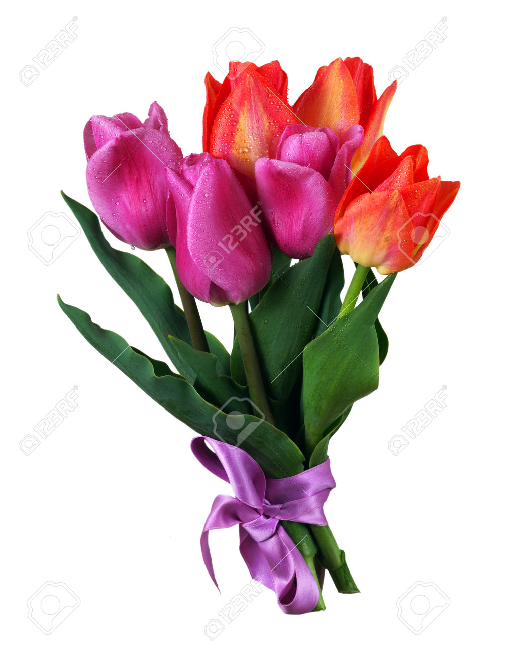 bright colorful bouquet of tulips isolated on white - 169620144 bright colorful bouquet of tulips isolated on white - 169620144
