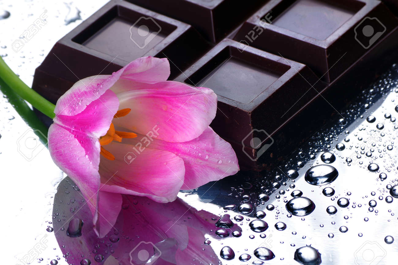 dark chocolate bar and pink tulip. - 169620173 dark chocolate bar and pink tulip. - 169620173