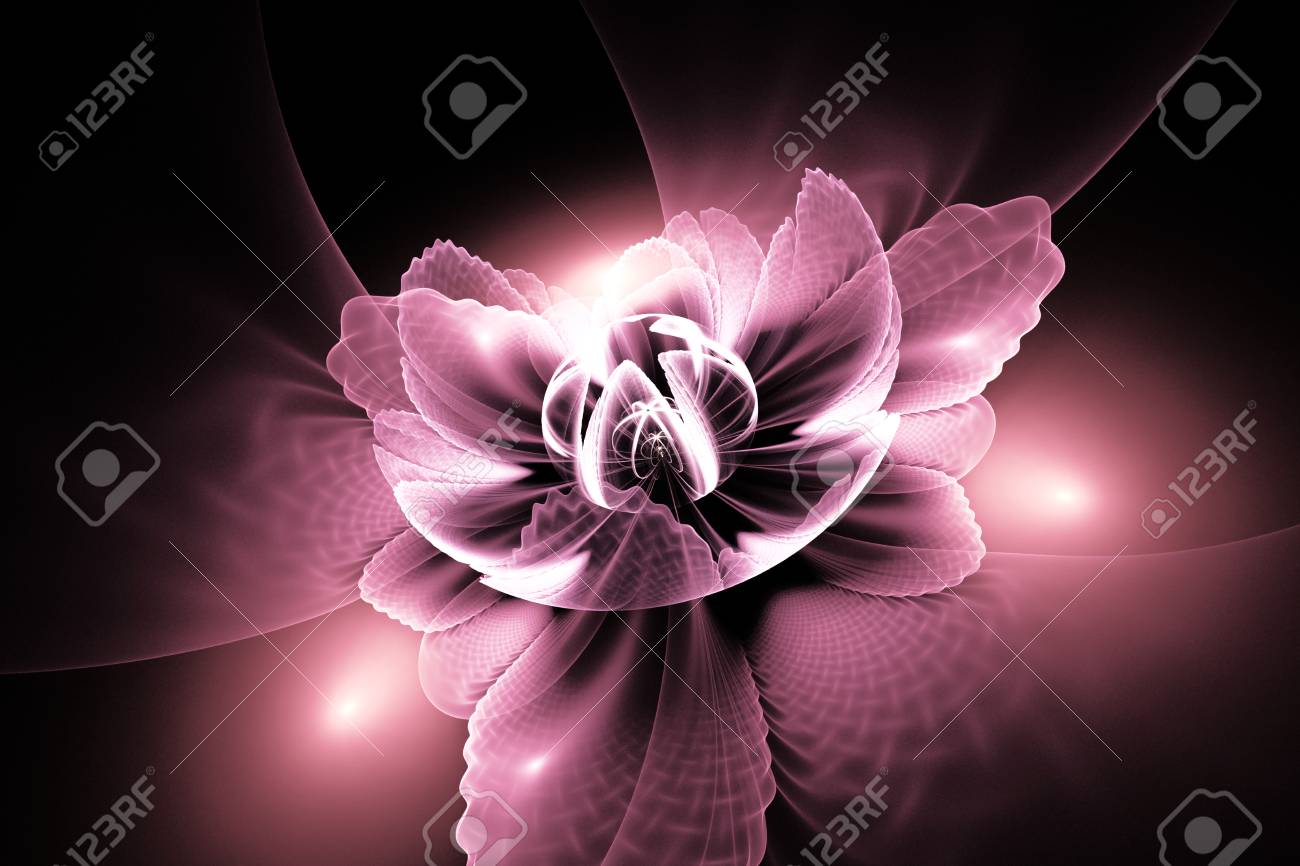 黒の背景にテクスチャの花びらを持つ抽象のエキゾチックな花 パステル調のピンク色でフラクタル デザインをファンタジーします サイケデリックなデジタル アート 3 D レンダリング の写真素材 画像素材 Image