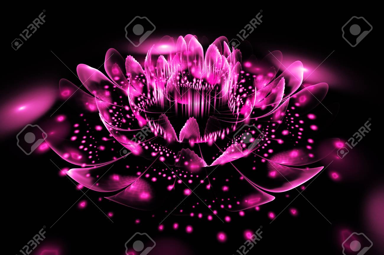 cool pink and black background
