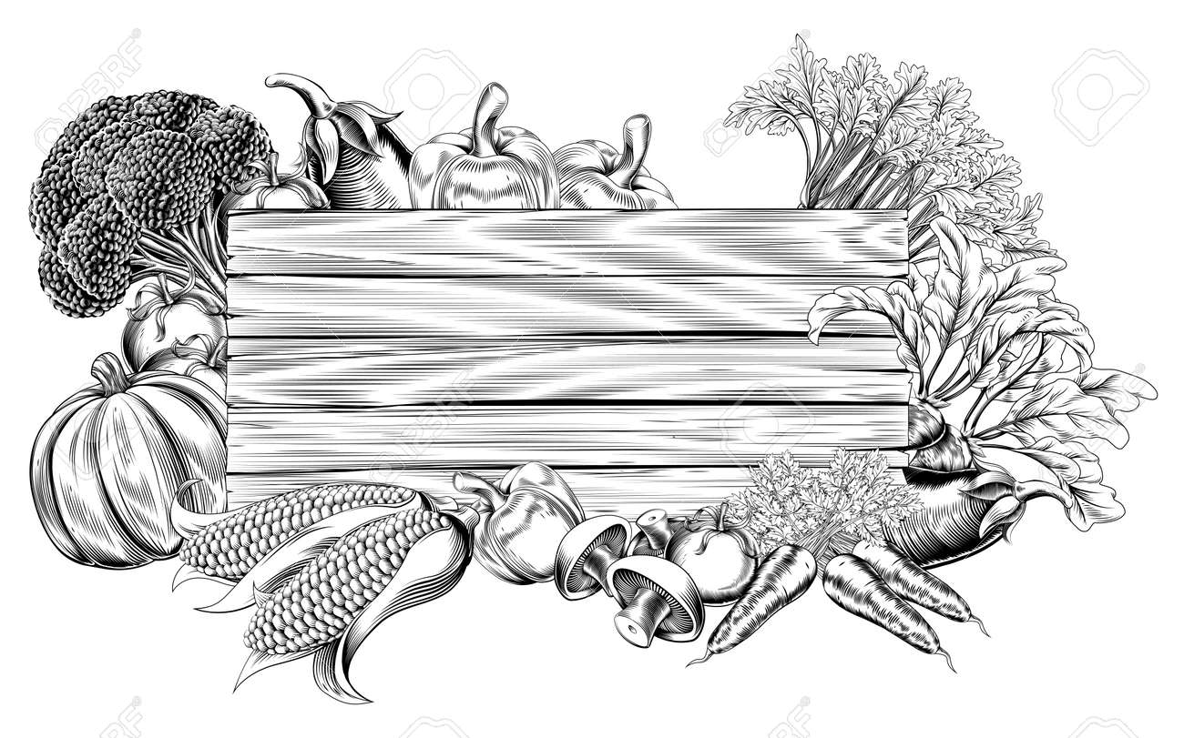 ビンテージ レトロな木版画印刷またはエッチング スタイル野菜の木製看板イラスト のイラスト素材 ベクタ Image