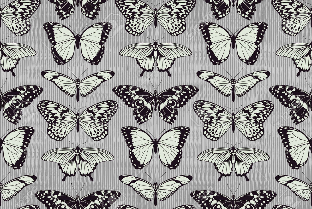 Butterfly Pattern Simple Decorating Ideas Butterfly Pattern Simple Decorating Ideas