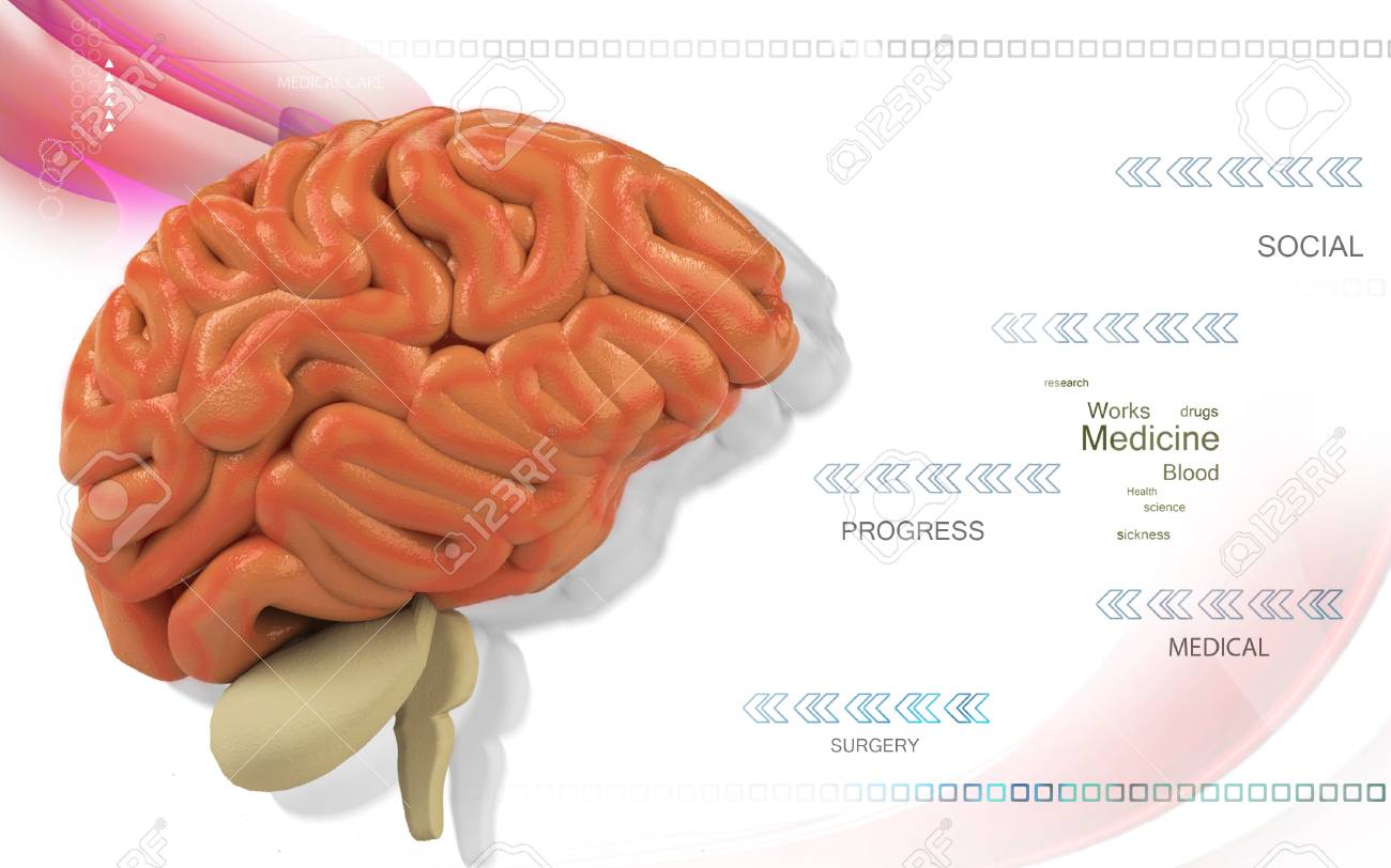 Digital illustration of brain in colour background - 52107485 Digital illustration of brain in colour background - 52107485