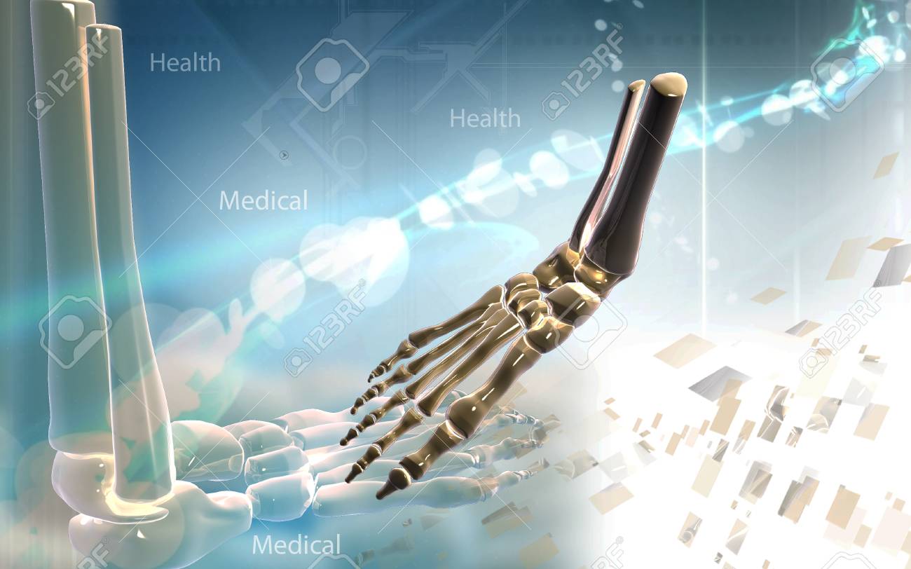 Digital illustration of Leg bone in colour background - 52796507 Digital illustration of Leg bone in colour background - 52796507