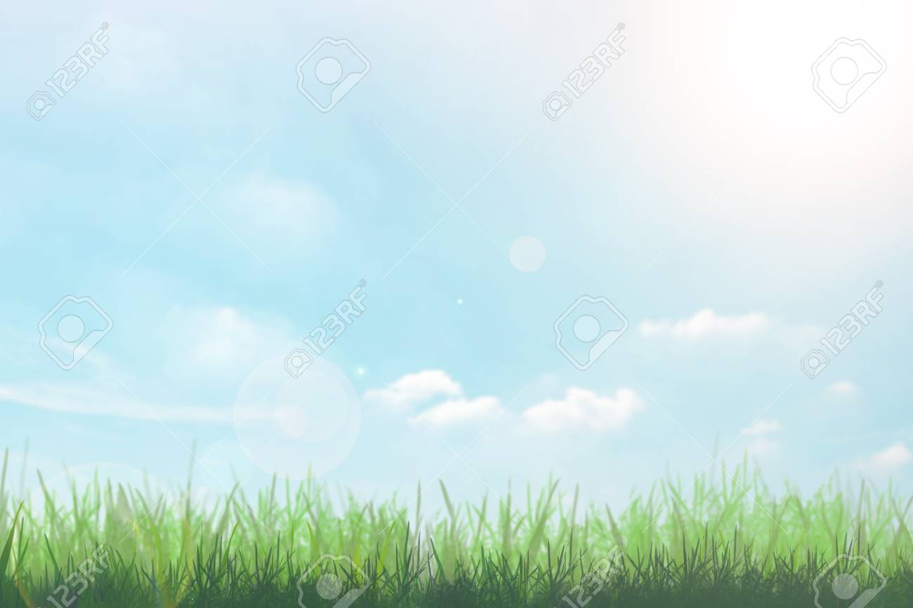 春の時間の花畑ときれいな水で蝶 自然な夏の花の壁紙 の写真素材 画像素材 Image 春の時間の花畑ときれいな水で蝶 自然な夏の花の壁紙 の写真素材 画像素材 Image