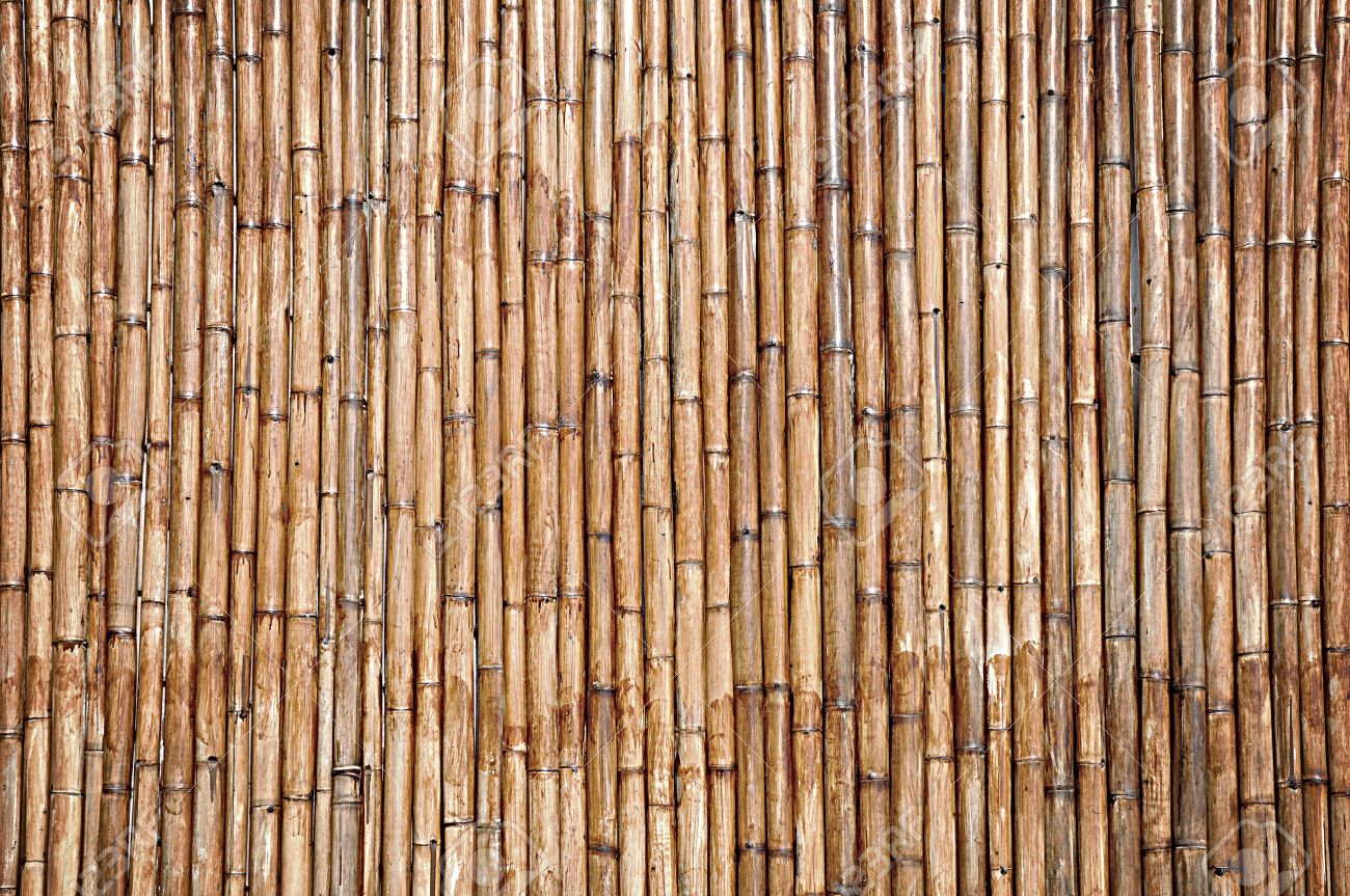 Dry Bamboo Wall Texture Background Stock Photo Picture And Royalty Free Image Image