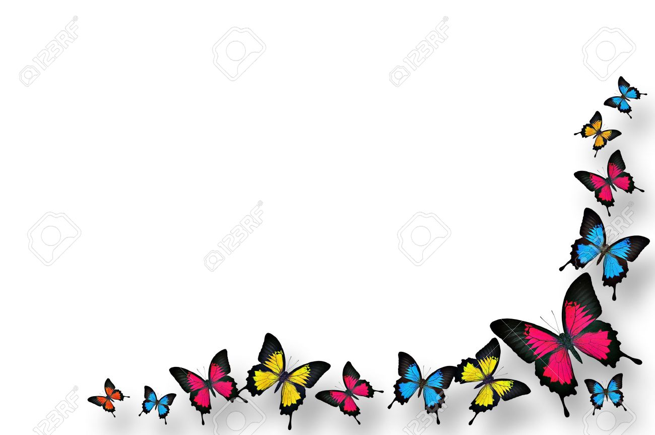 Butterflies Border Design Stock Photo, Picture and Royalty Free Image.  Image 17961633.