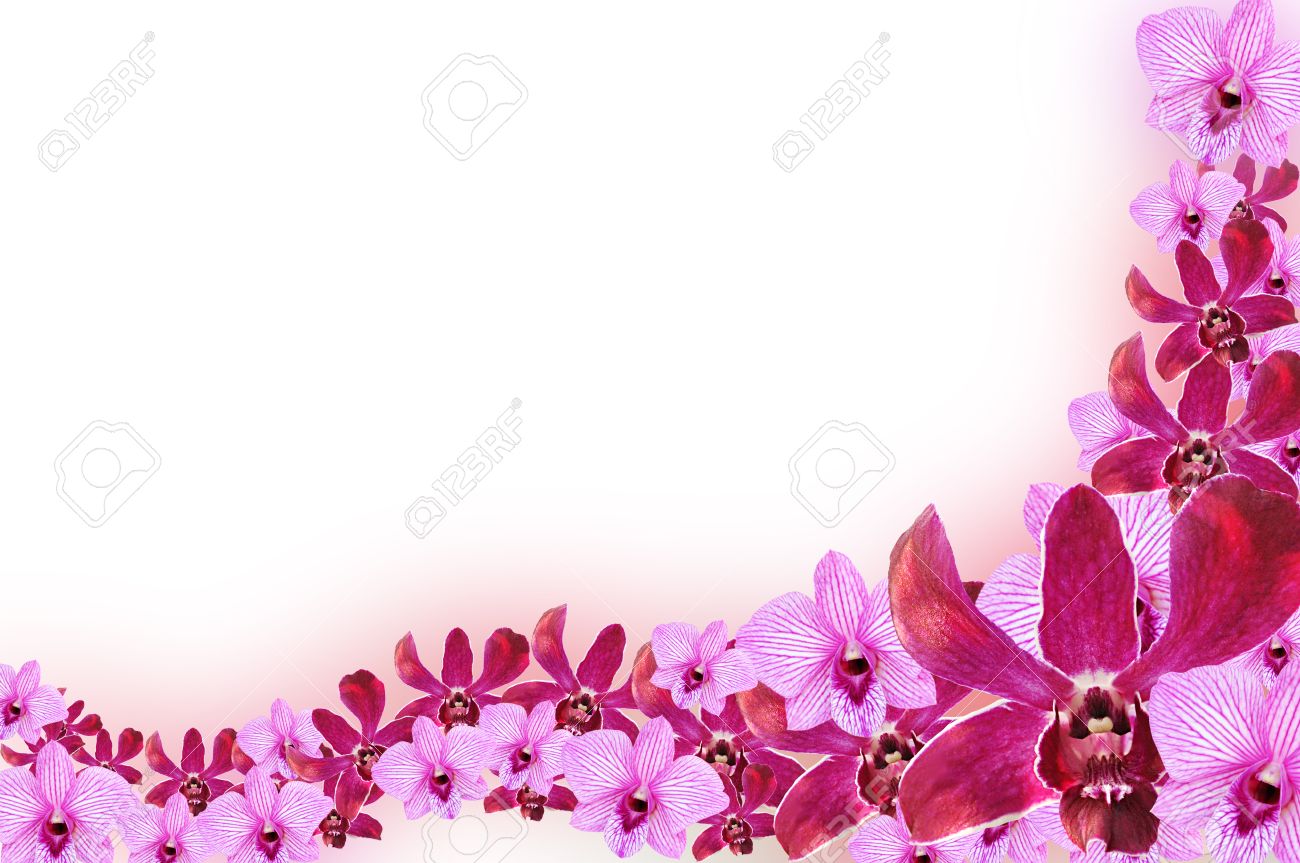 purple border design