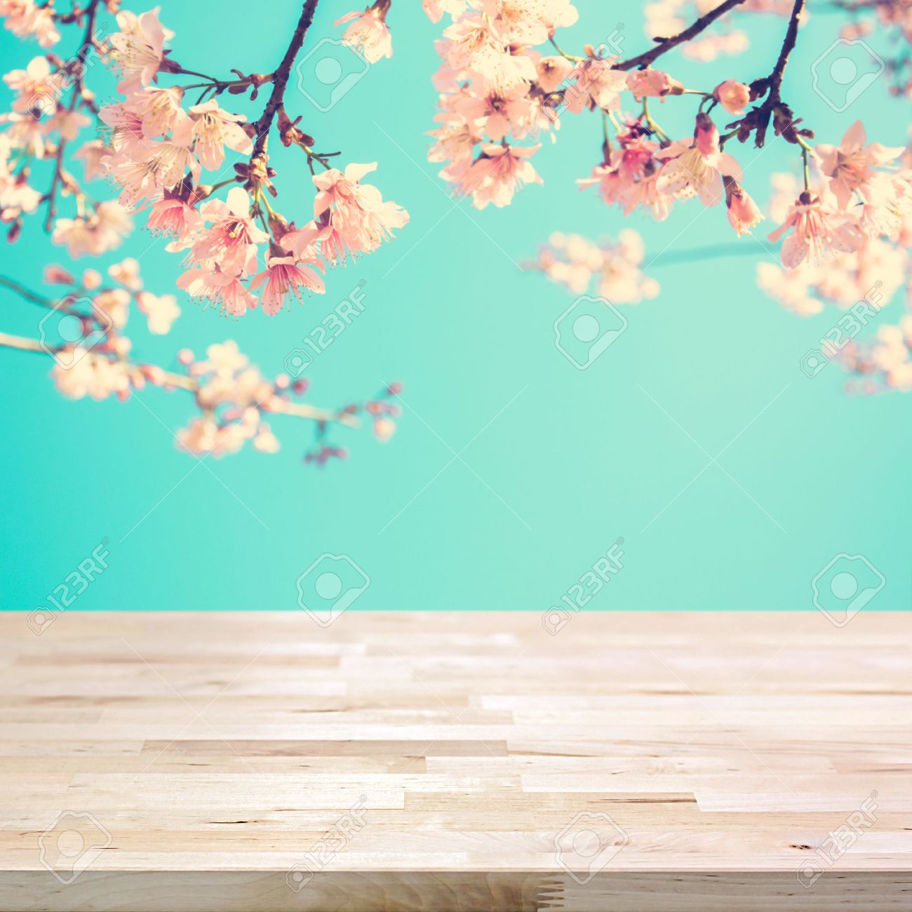 turquoise flower background