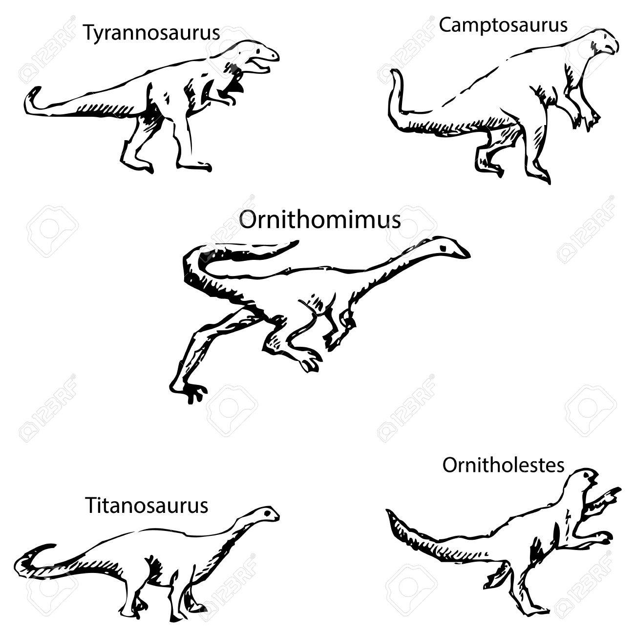 Dinosaurs with names pencil sketch by hand vector image