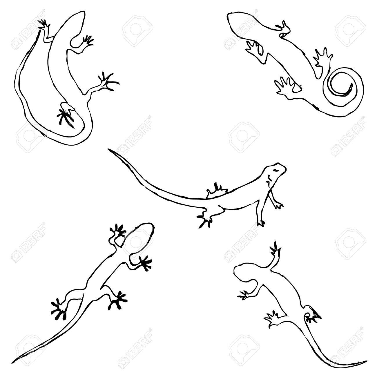 トカゲ 手でスケッチします 鉛筆は手でデッサンします ベクター画像 イメージは細い線です のイラスト素材 ベクタ Image 7357