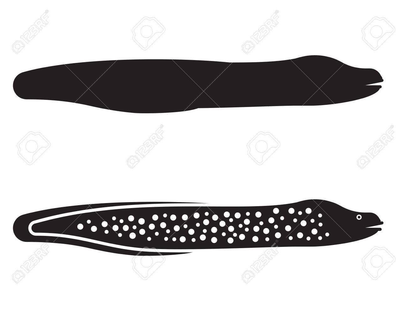 ウツボはベクトル アウトライン デザインのイラストです 白い背景で隔離 Murena のシルエットのロゴやラベル テンプレート の写真素材 画像素材 Image ウツボはベクトル アウトライン デザインのイラストです 白い背景で隔離 Murena のシルエットのロゴやラベル テンプレート の写真素材 画像素材 Image