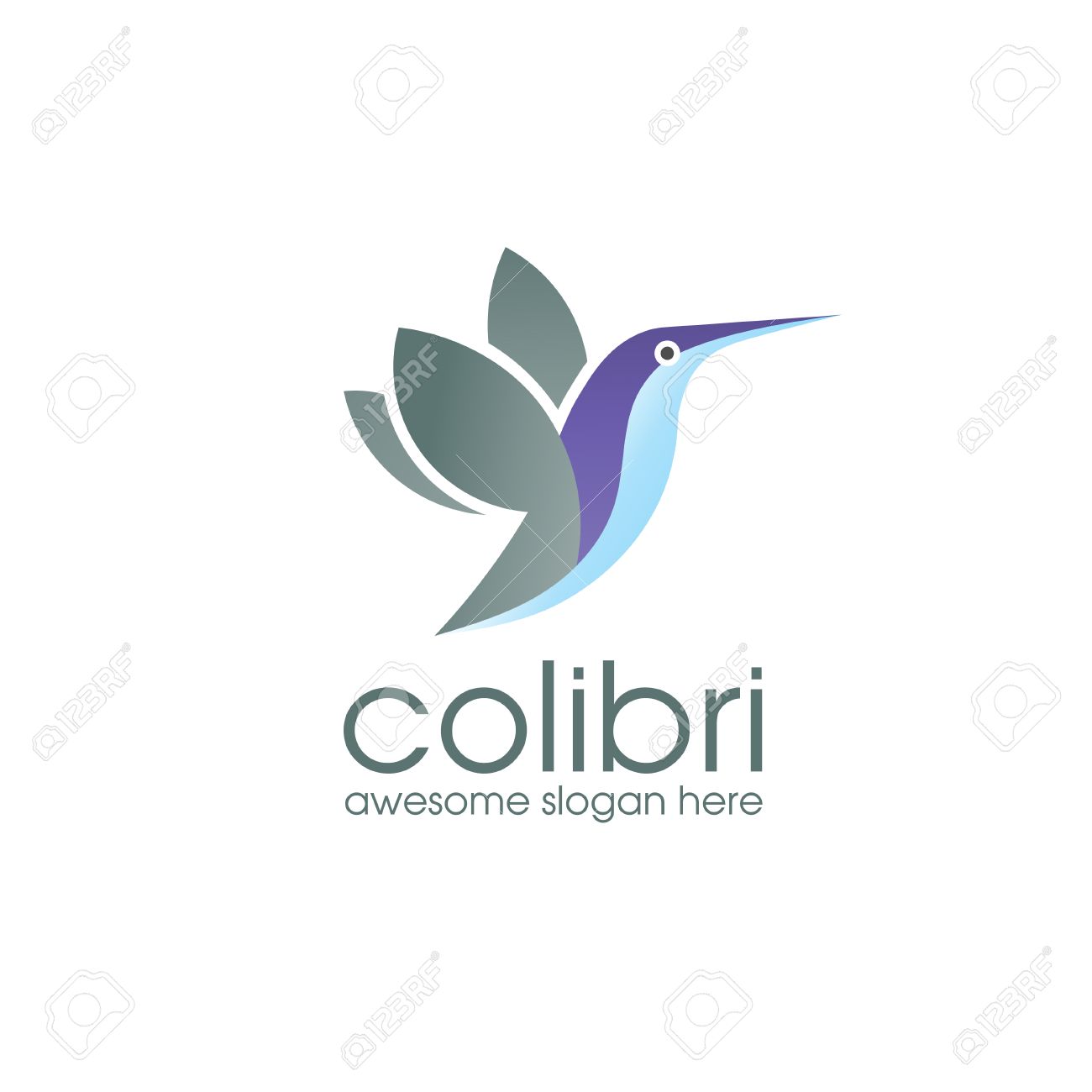 colibri logo bird symbol design template hummingbird vector