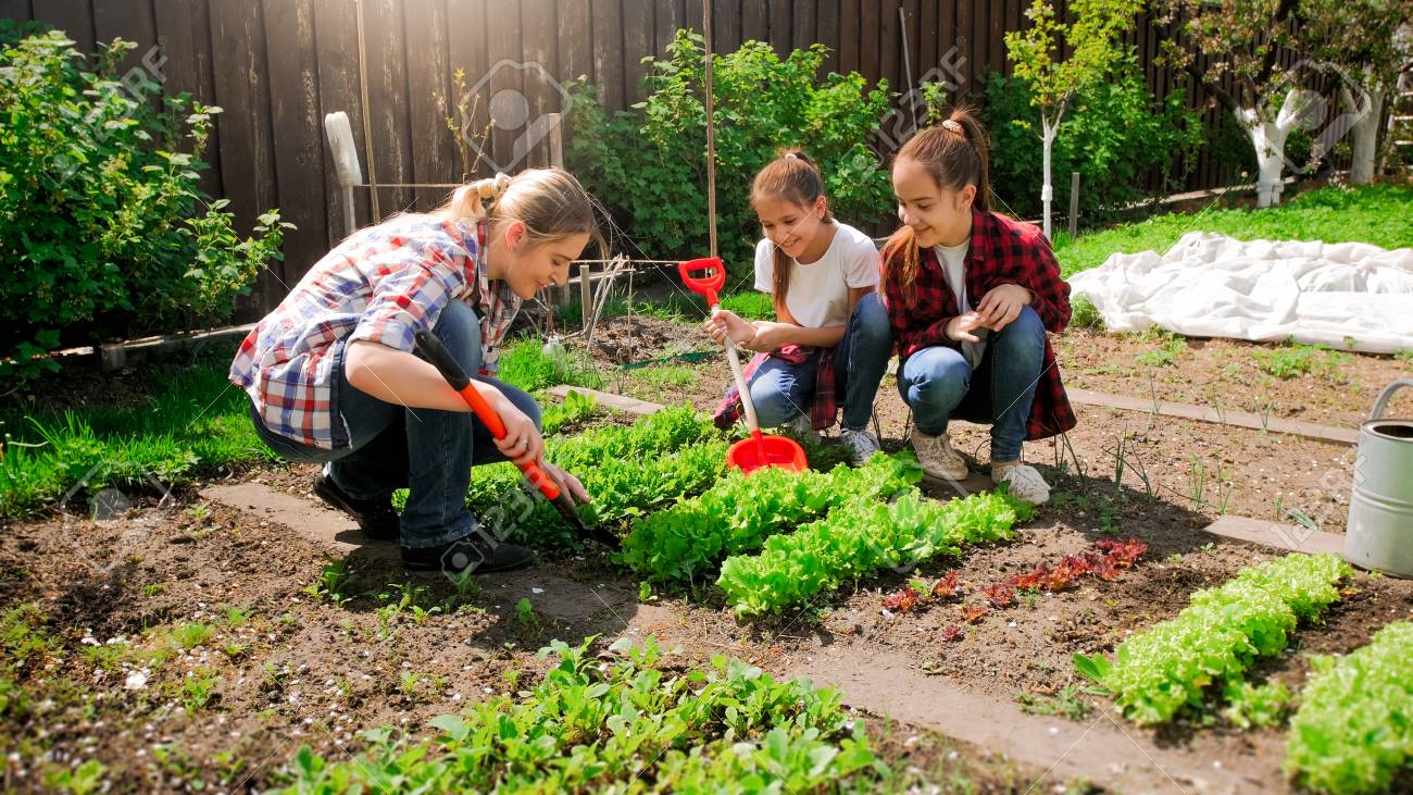 Happy young woman with daughters planting seeds in garden - 100289025 Happy young woman with daughters planting seeds in garden - 100289025