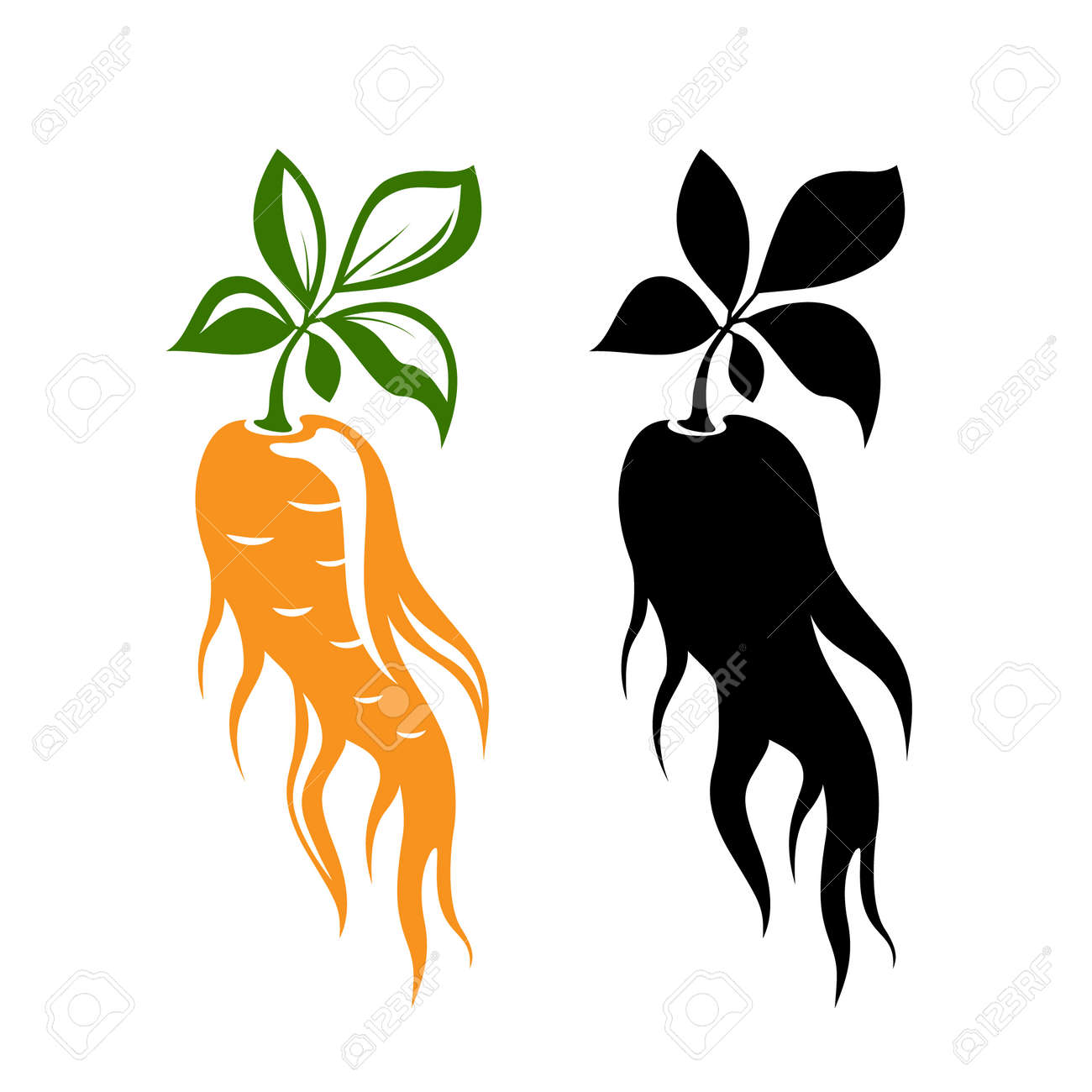 Red ginseng emblem. Traditional chinese golden root. Isolated vector illustration. Colorful and black silhouettes. - 158145337 Red ginseng emblem. Traditional chinese golden root. Isolated vector illustration. Colorful and black silhouettes. - 158145337