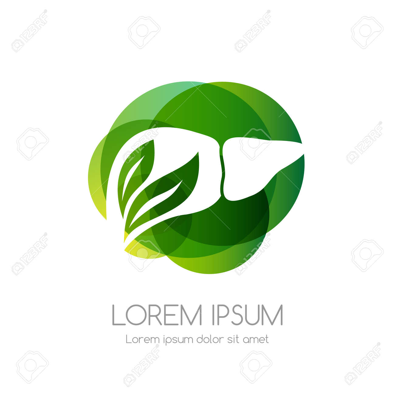 Liver with leaves and green abstract shape. Medical emblem. Health care vector icon. - 158145317 Liver with leaves and green abstract shape. Medical emblem. Health care vector icon. - 158145317