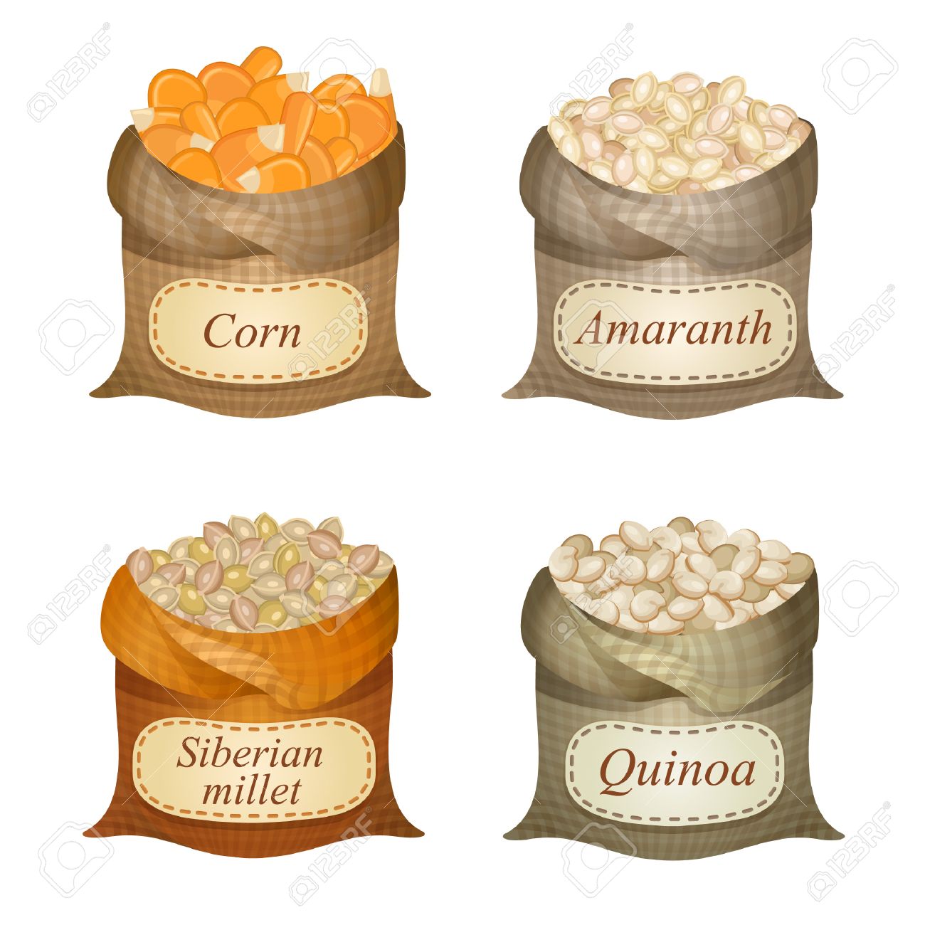 トウモロコシ シベリア キビ キノア アマランサス それらの名前のアンタイド袋 のイラスト素材 ベクタ Image