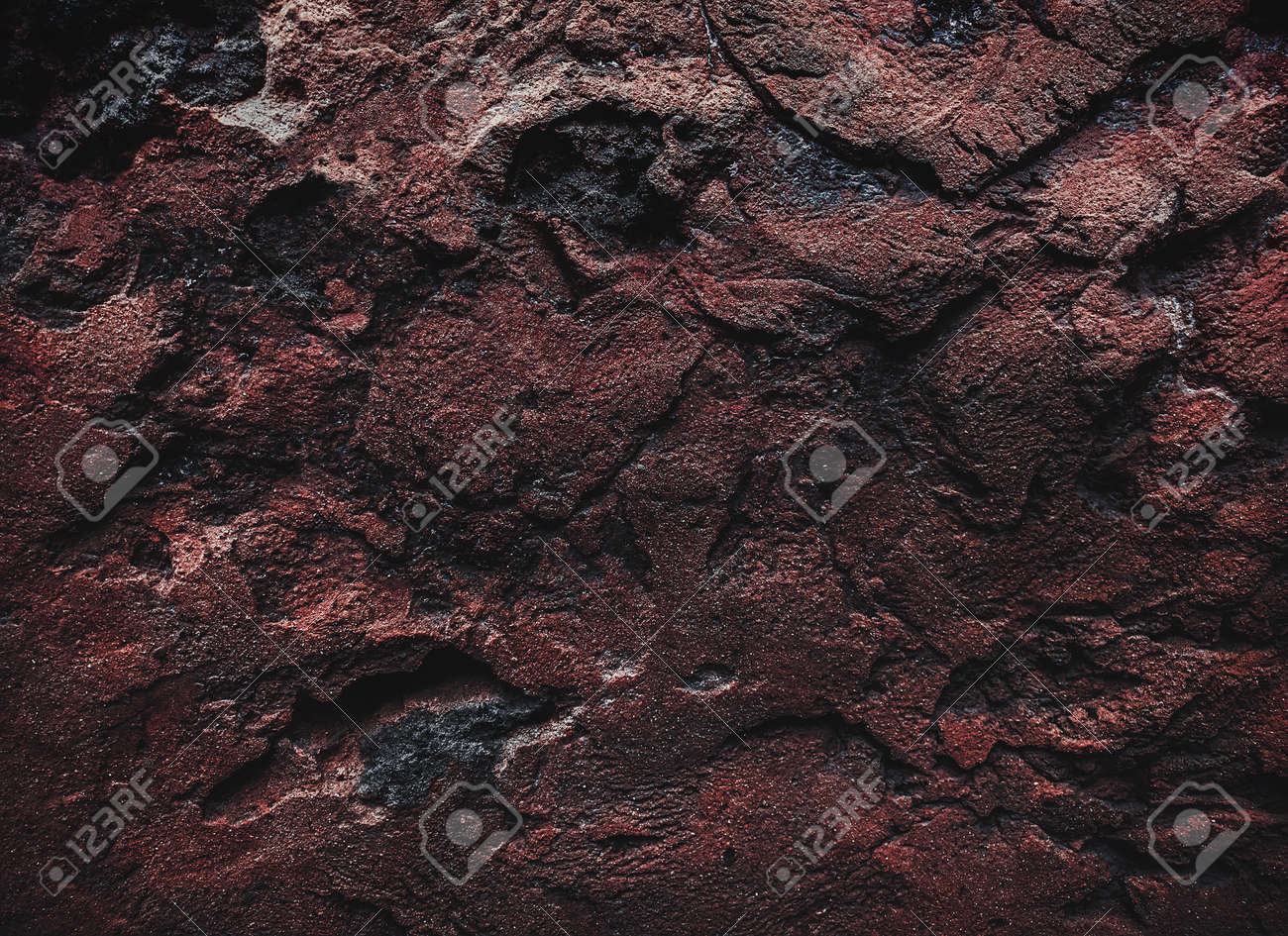 etiam-dictum-ipsum-a-felis