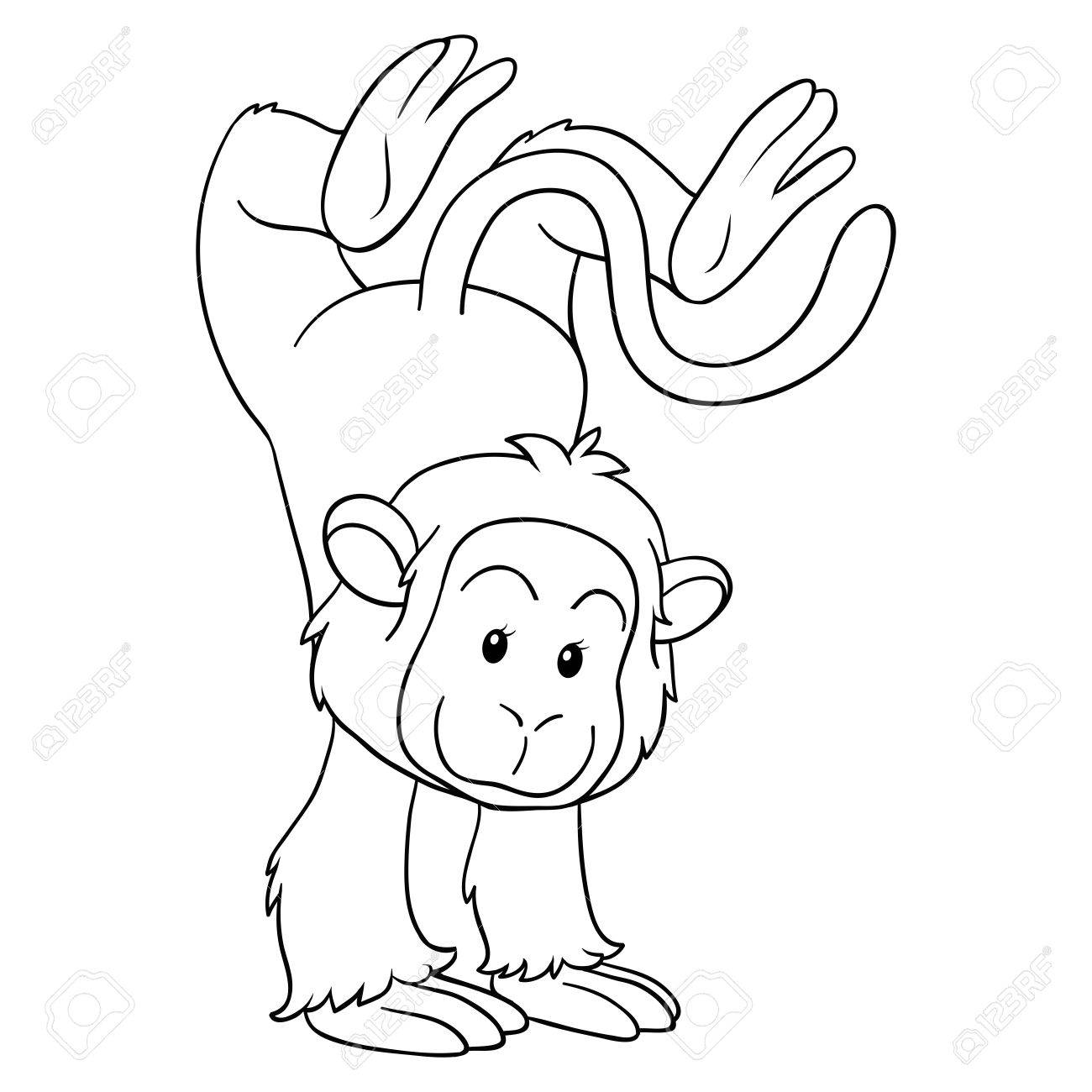 Livre A Colorier De Singe Clip Art Libres De Droits Vecteurs Et Illustration Image