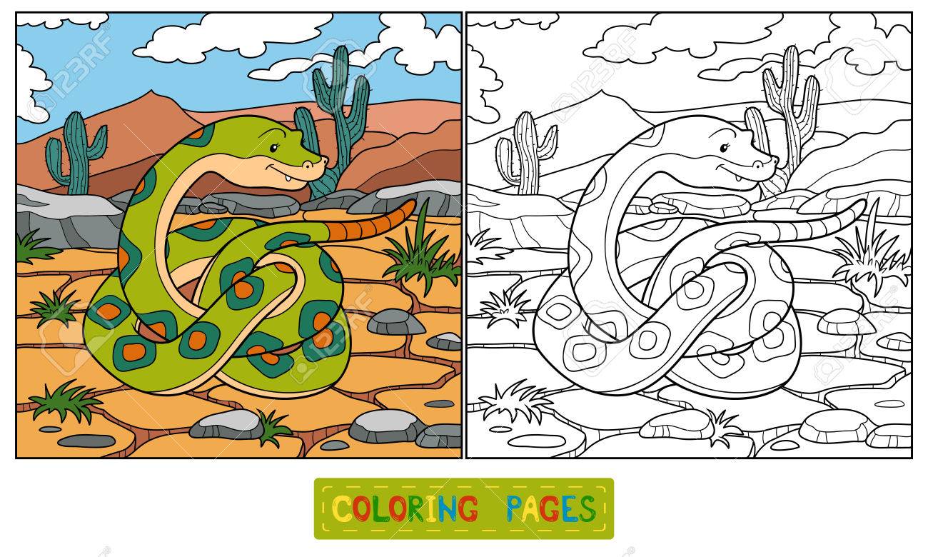 Livre A Colorier Serpent Clip Art Libres De Droits Vecteurs Et Illustration Image 3841