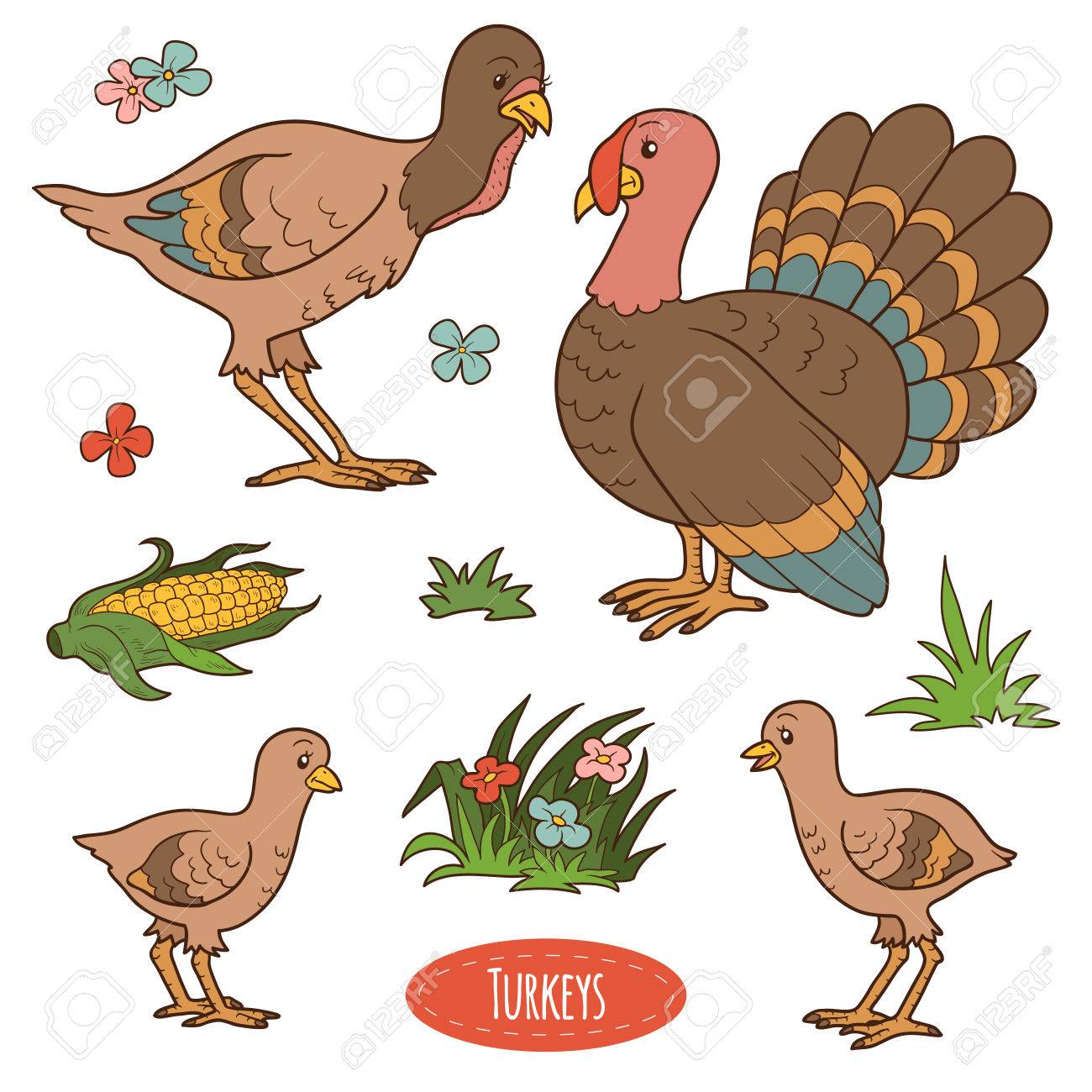 Selecting the most suitable breed of turkeys for Selecting the most suitable breed of turkeys for